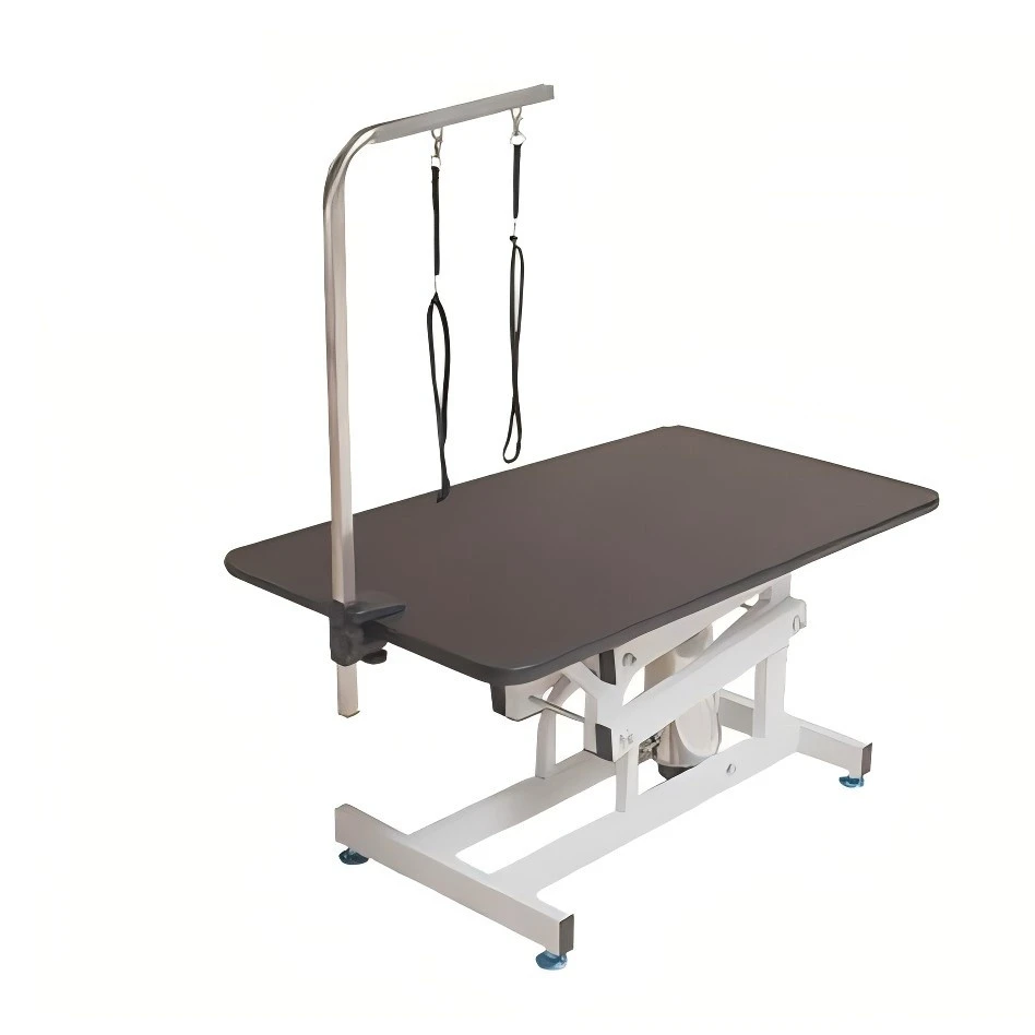 Elevación hidráulica Vet plegado Pet Grooming mesa de belleza para perros